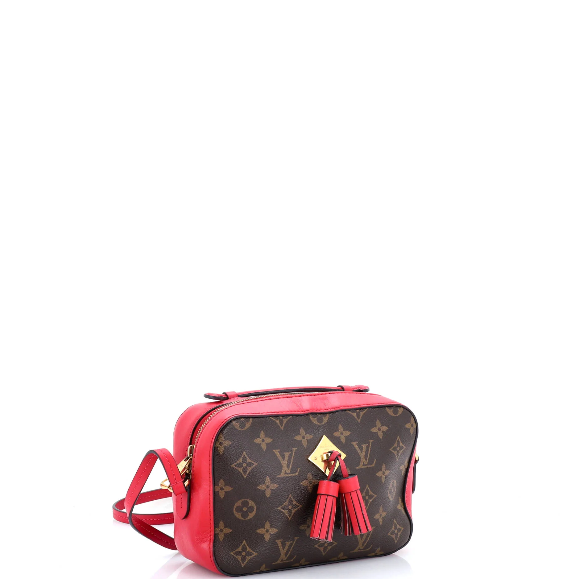 Saintonge Handbag Monogram Canvas with Leather - Image 2