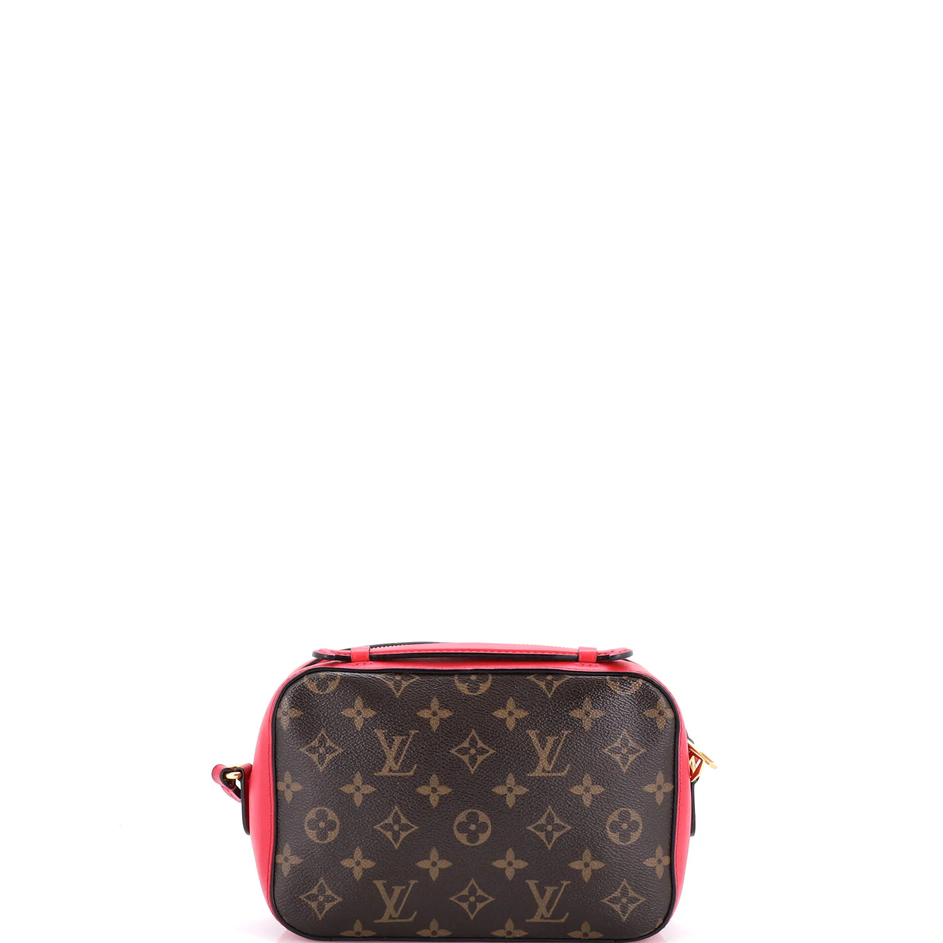 Saintonge Handbag Monogram Canvas with Leather - Image 3