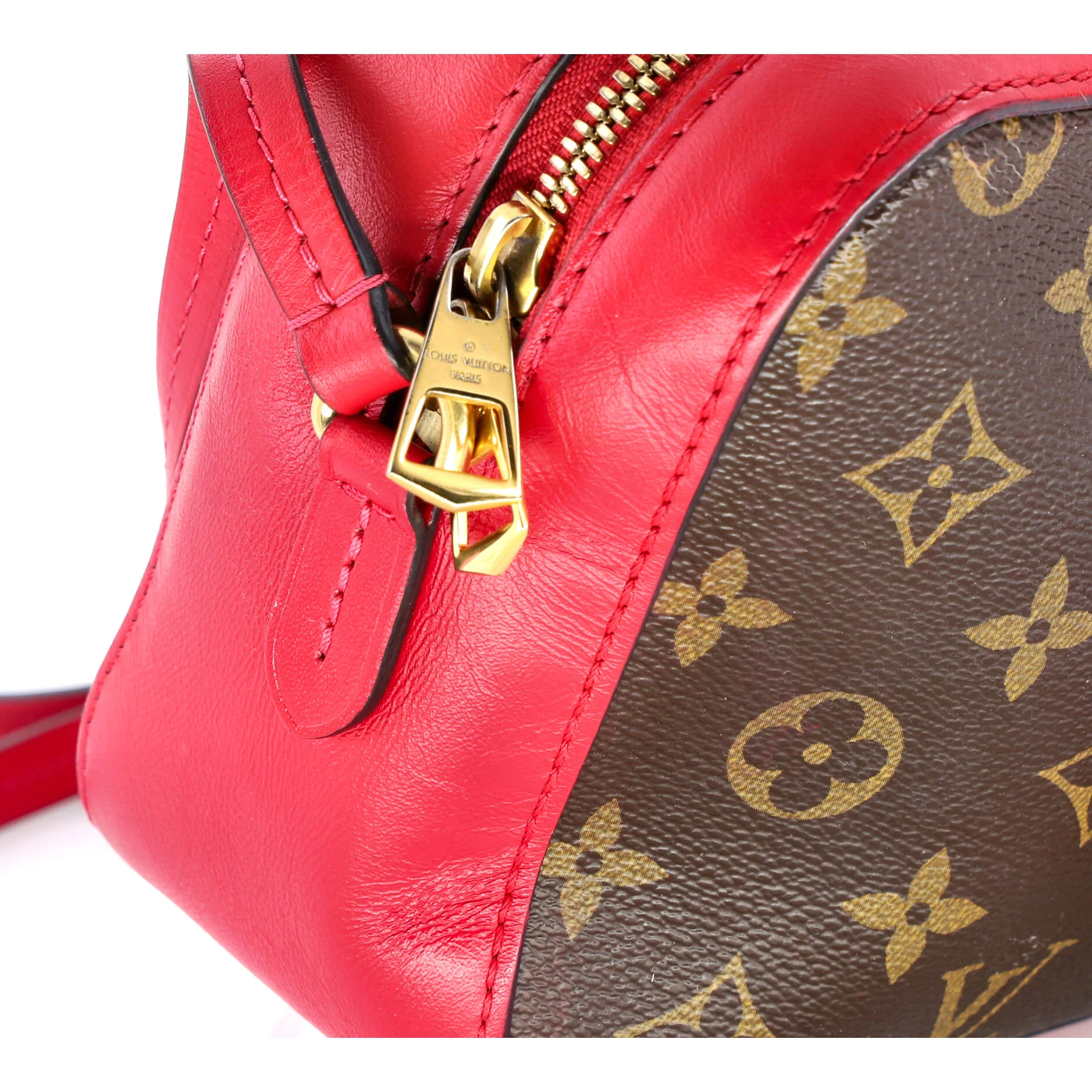 Saintonge Handbag Monogram Canvas with Leather - Image 7