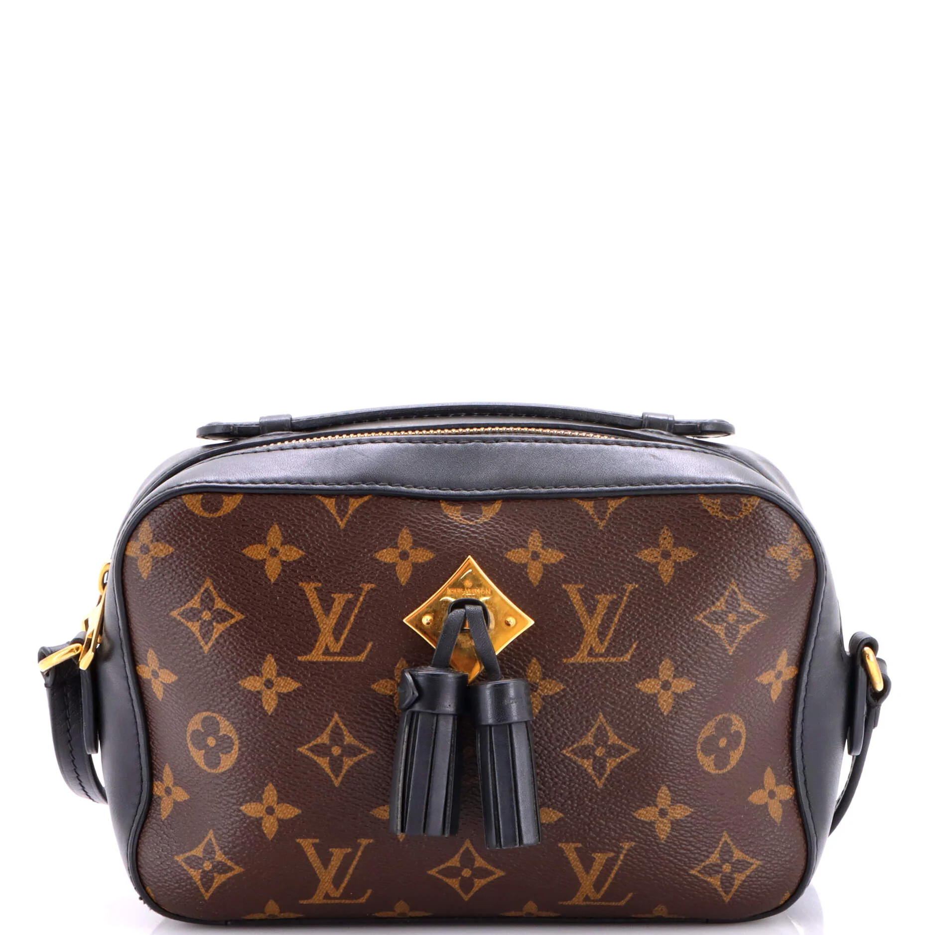 Saintonge Handbag Monogram Canvas with Leather
