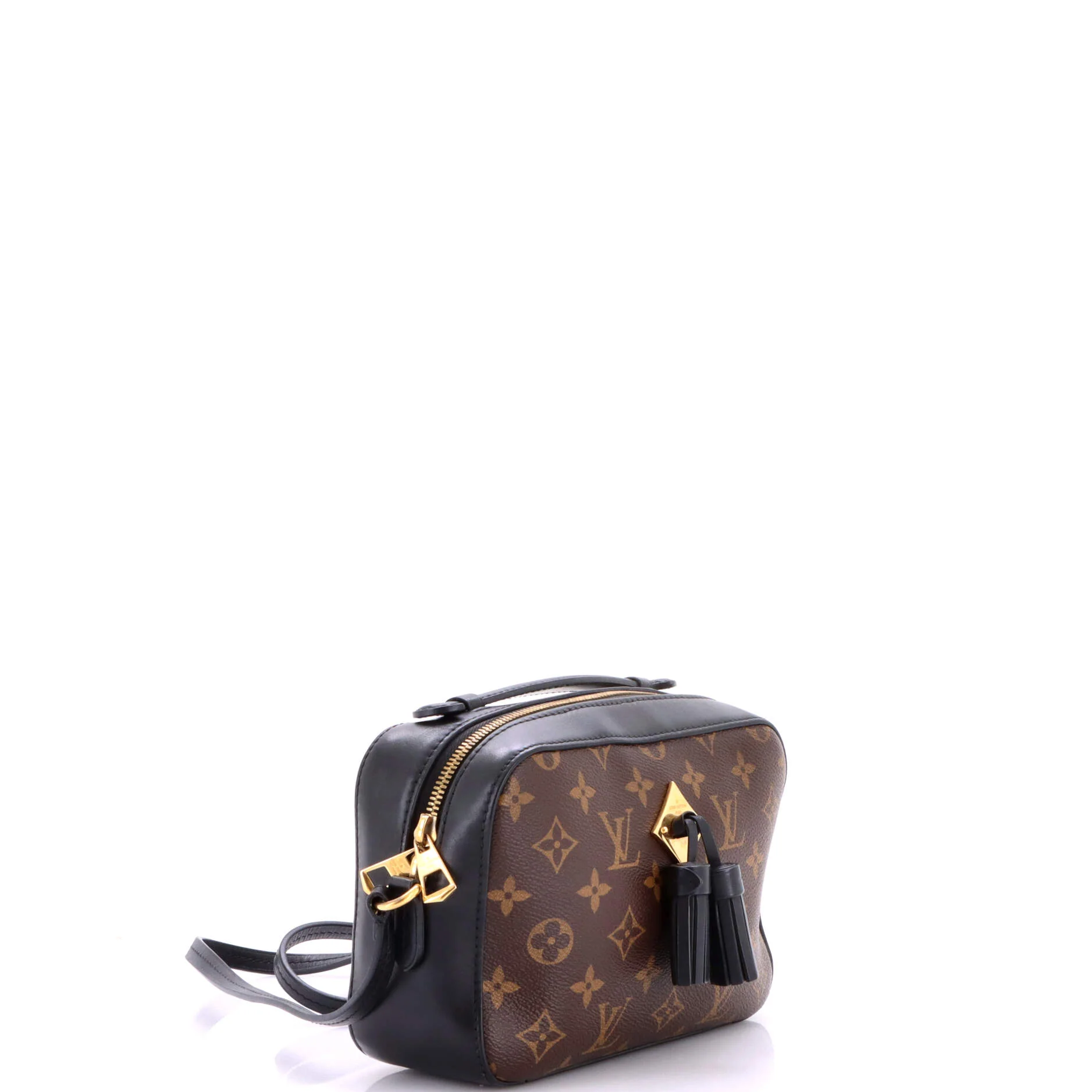 Saintonge Handbag Monogram Canvas with Leather - Image 2