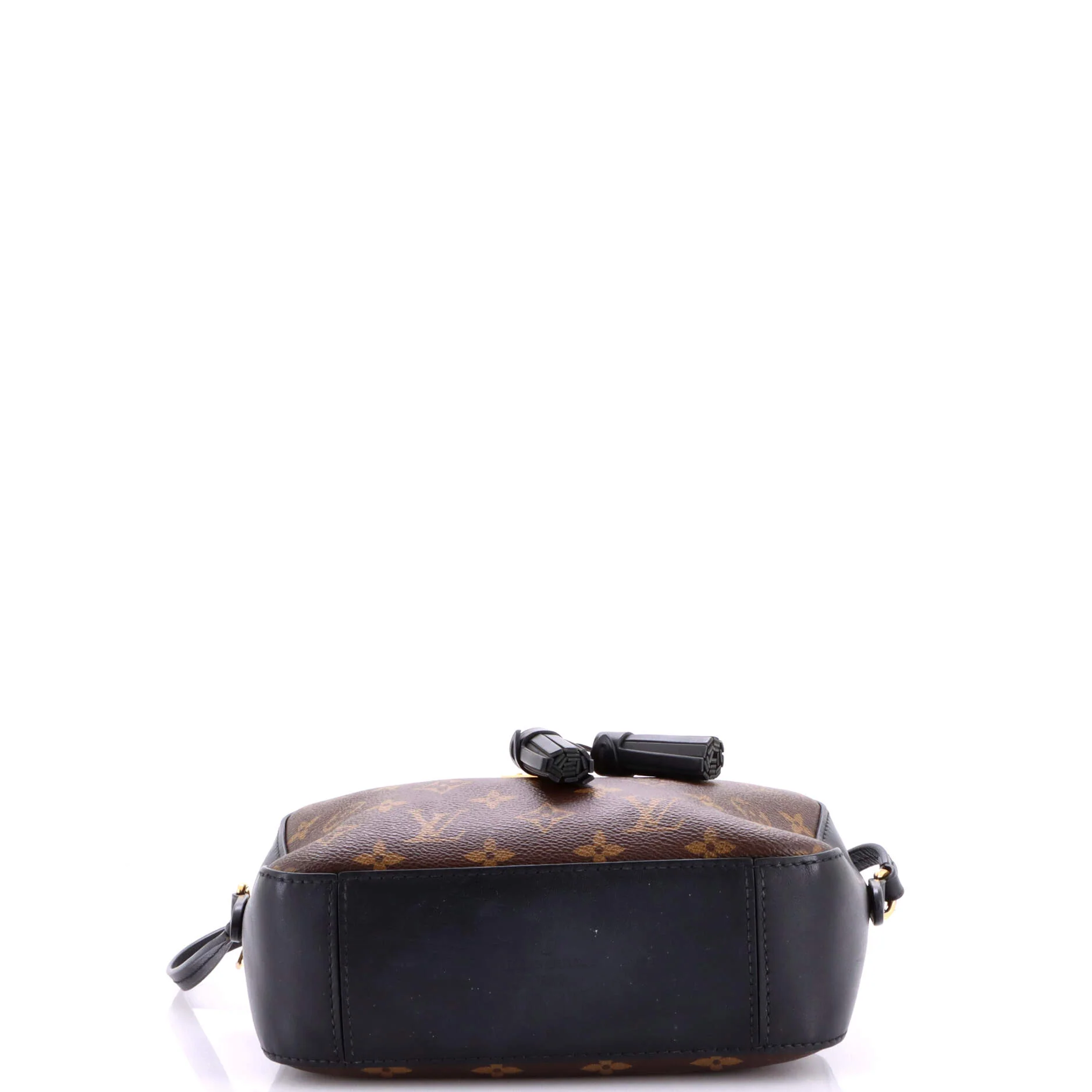Saintonge Handbag Monogram Canvas with Leather - Image 4