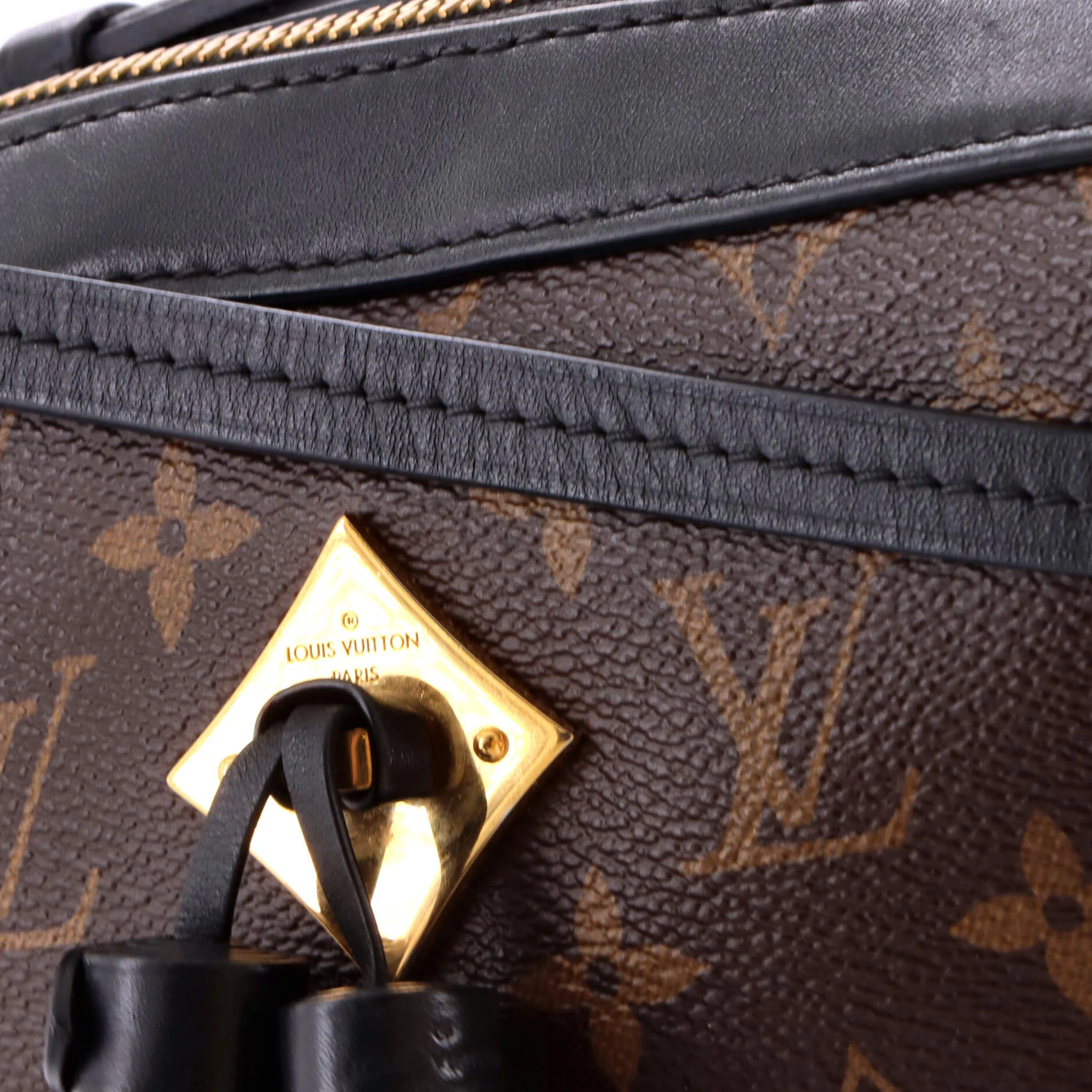 Saintonge Handbag Monogram Canvas with Leather - Image 7