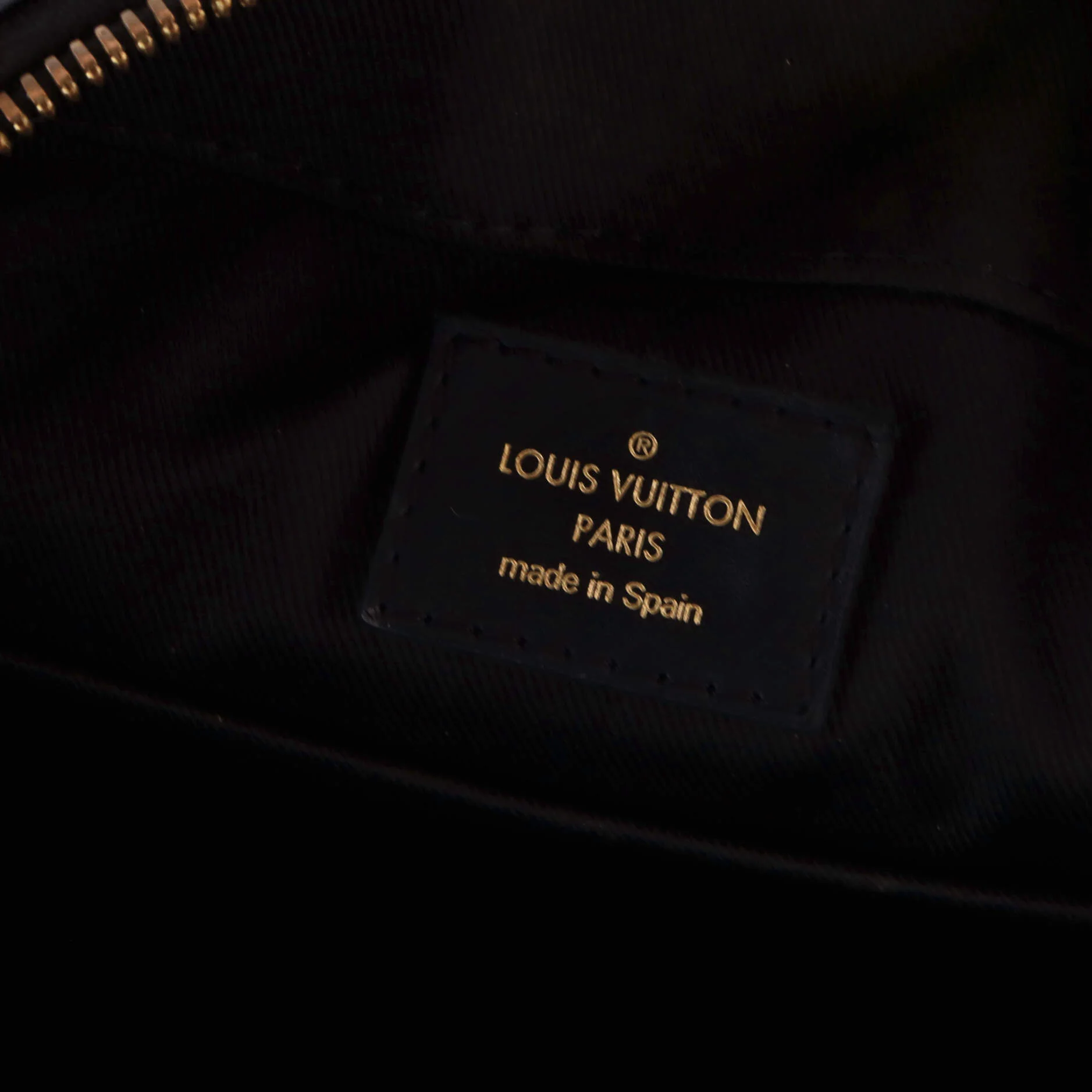 Saintonge Handbag Monogram Canvas with Leather - Image 8