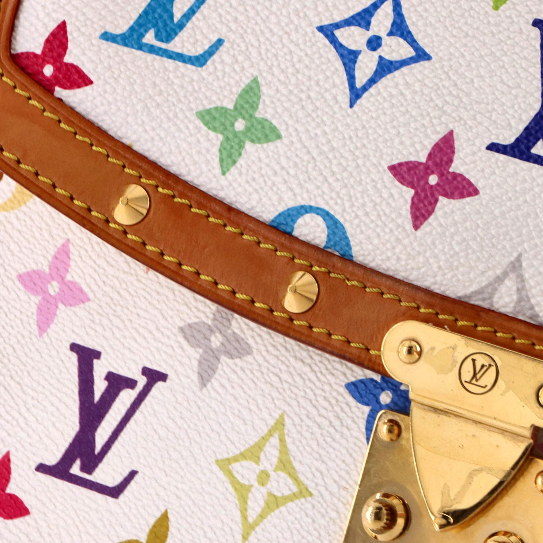 Sologne Handbag Monogram Multicolor - Image 6