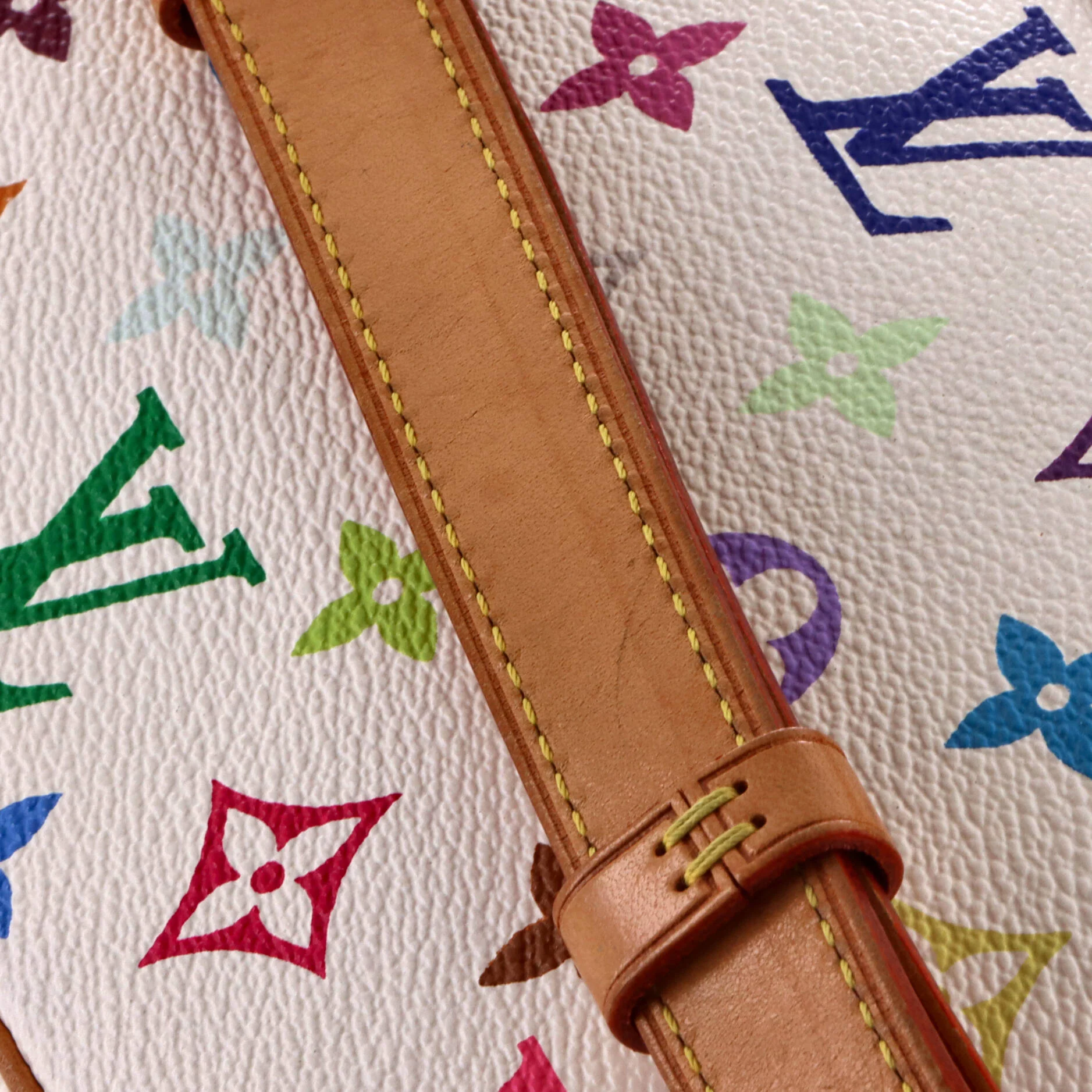 Sologne Handbag Monogram Multicolor - Image 7