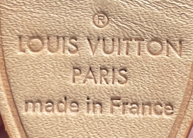 Speedy Bandouliere Bag Monogram Canvas 20 - Image 7