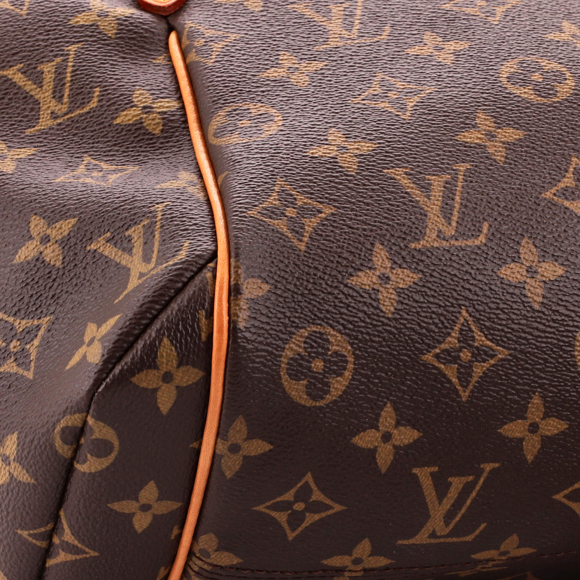 Totally Handbag Monogram Canvas PM - Image 6