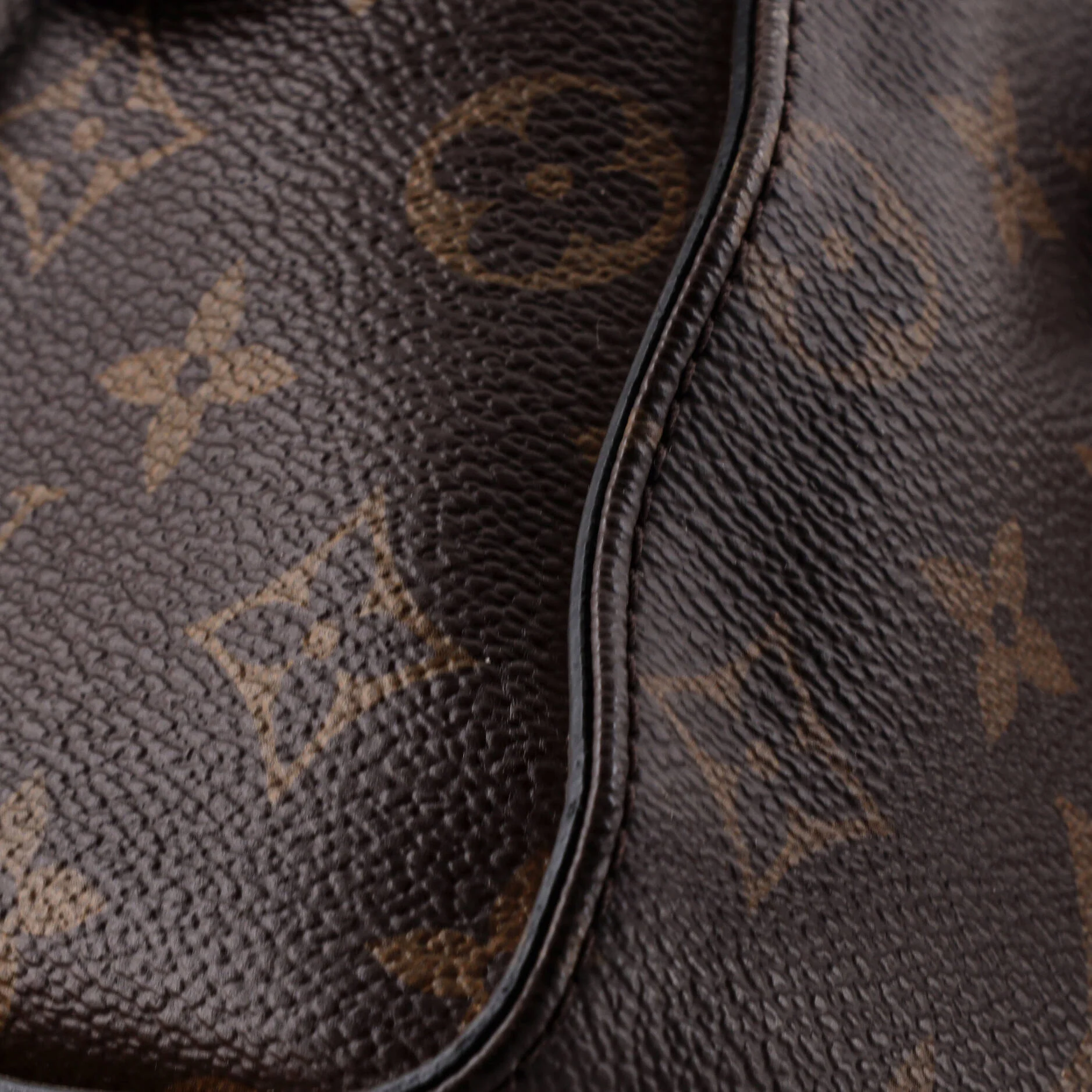 Tuileries Handbag Monogram Canvas with Leather - Image 6