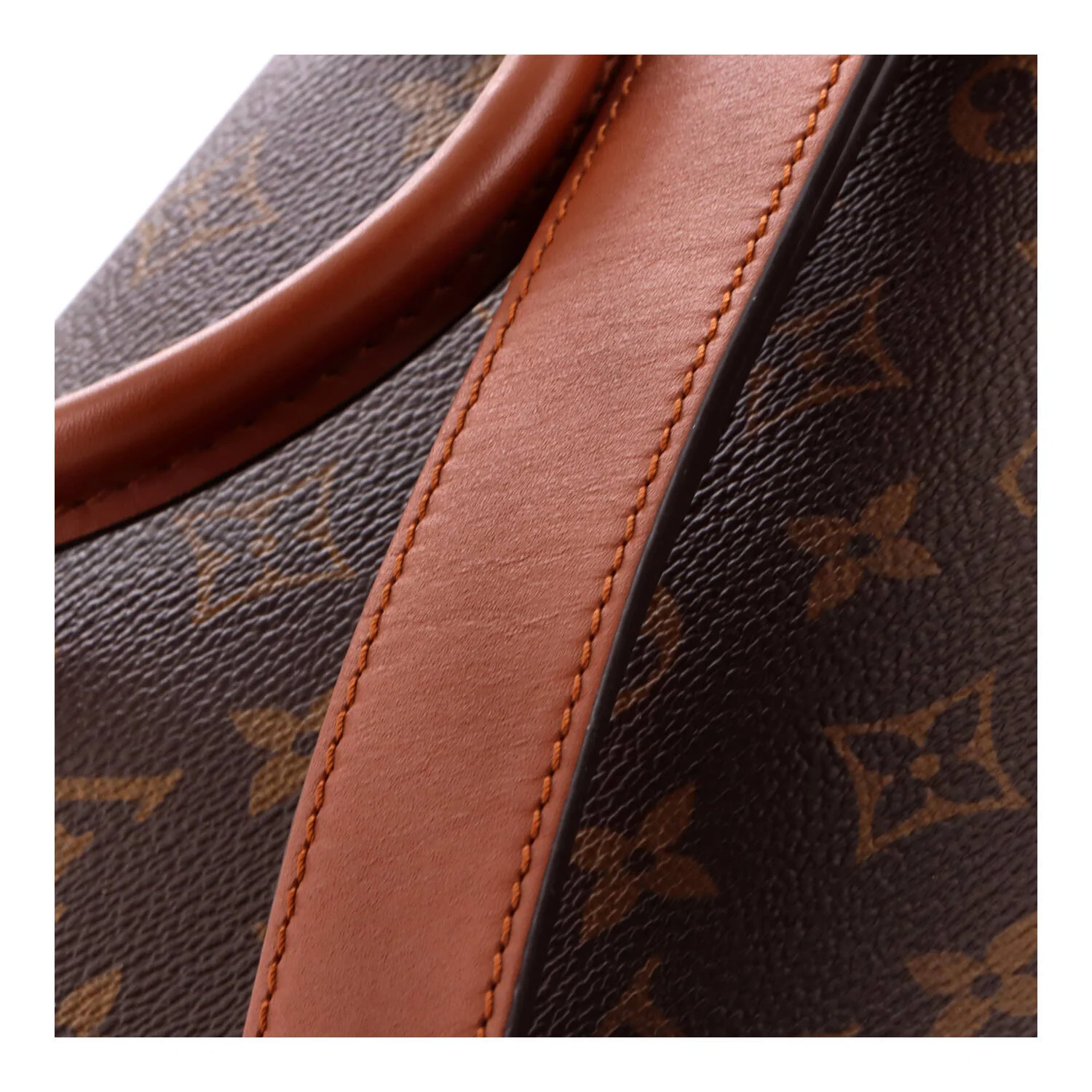 Vaugirard Handbag Monogram Canvas with Leather - Image 7