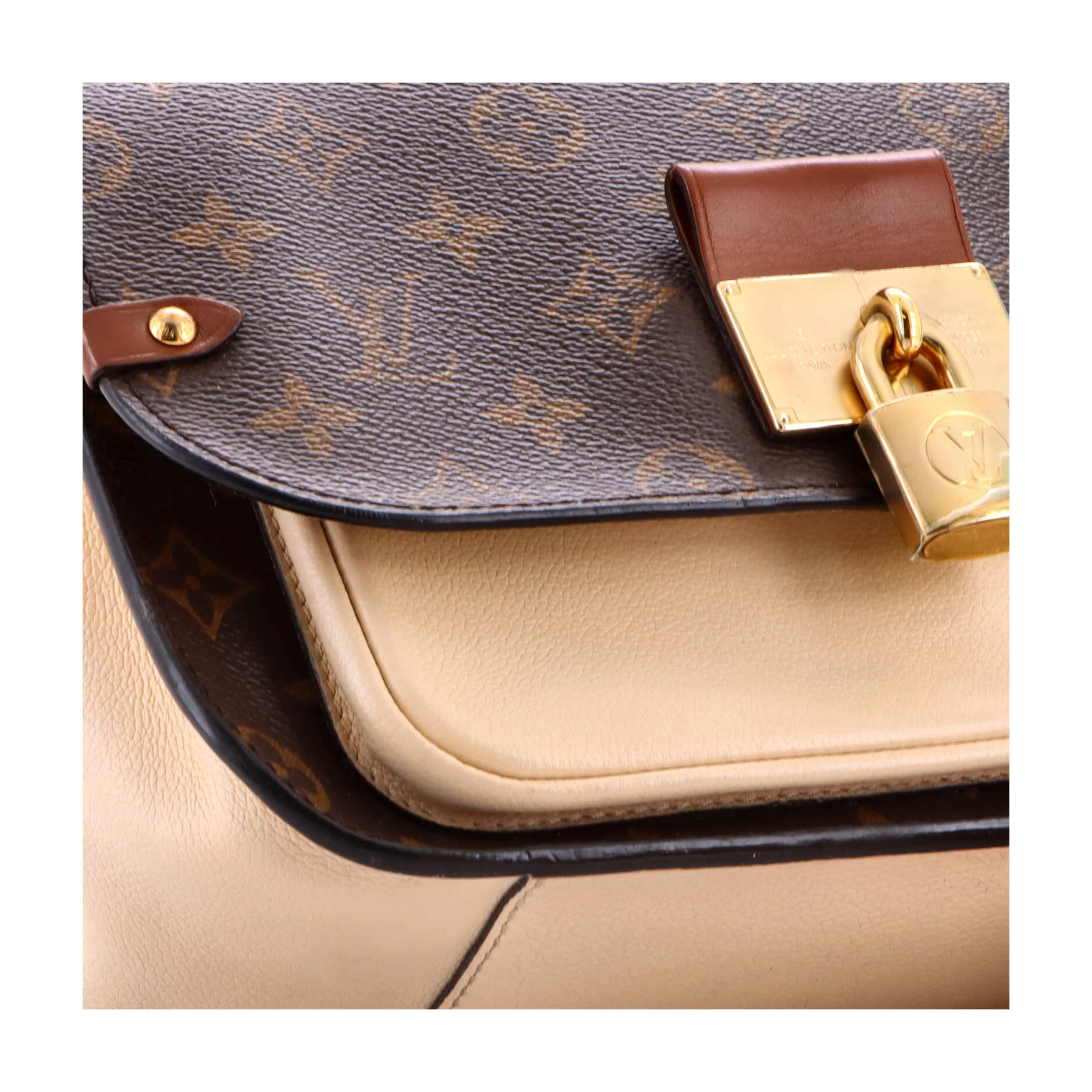 Vaugirard Handbag Monogram Canvas with Leather - Image 6