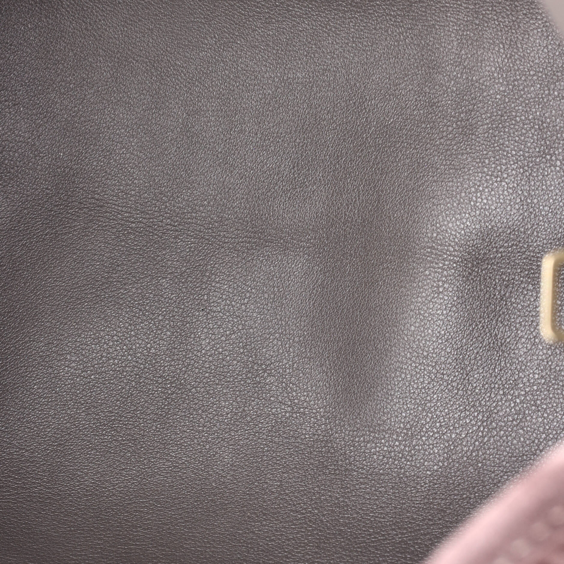 Whisper Bag Monogram Suede and Python PM - Image 5