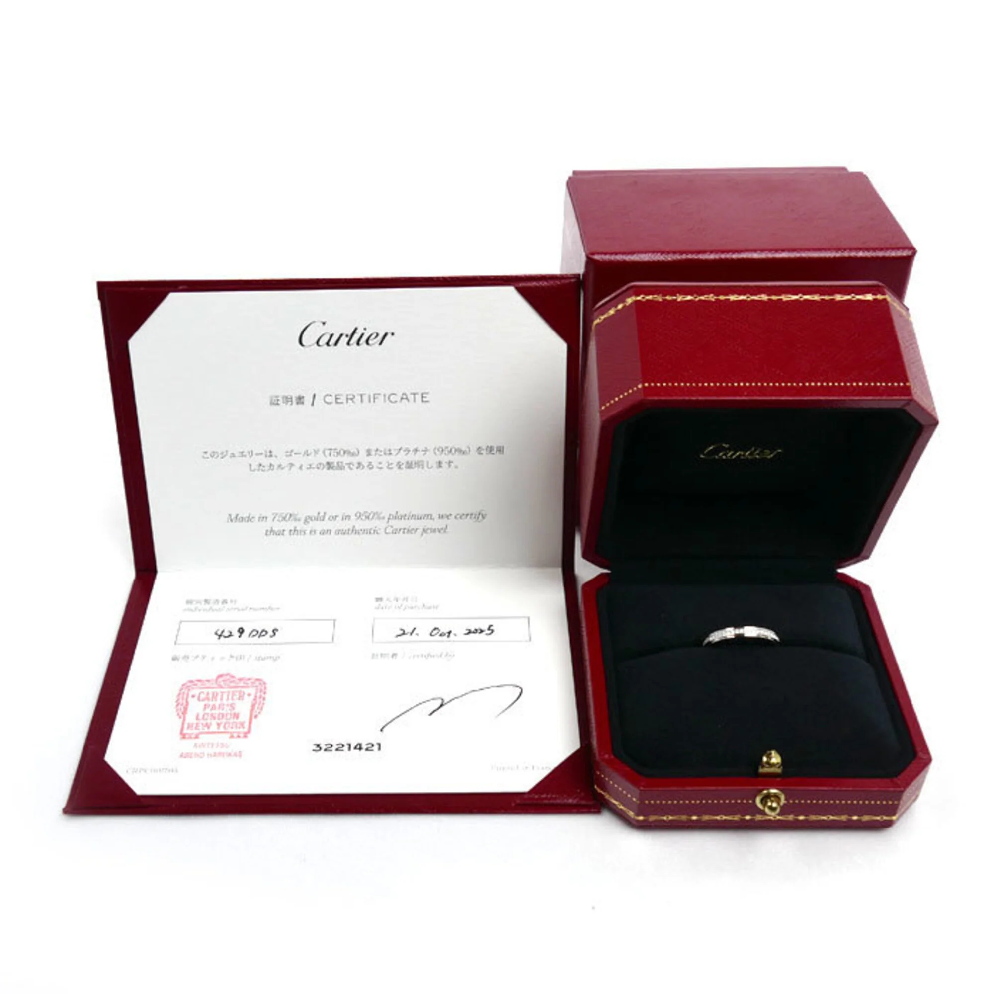 Band Ring Platinum with Diamond - Image 7